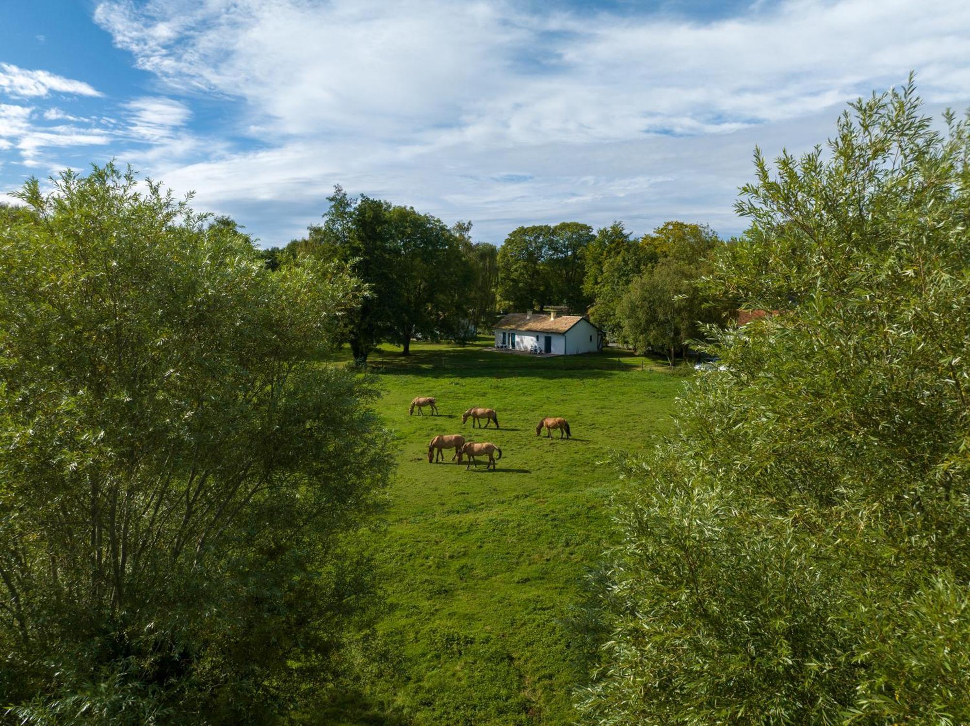 Hotel Et Cottages Domaine Du Marquenterre Saint-Quentin-en-Tourmont Exterior photo